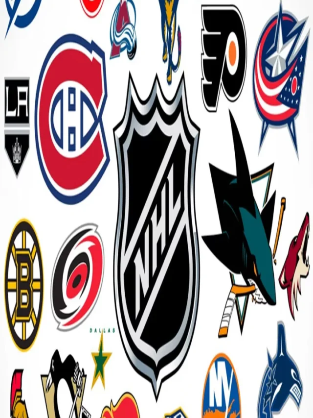 Match The Hockey Logo To The Team