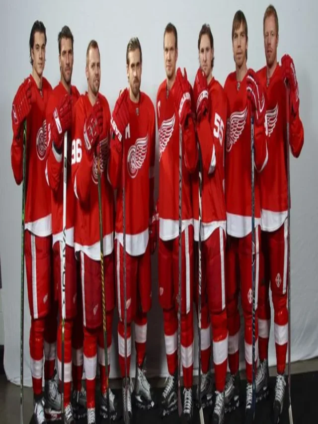 Red Wings Team Sweden Thats a capital Ikea Detroit red wing Red wings hockey